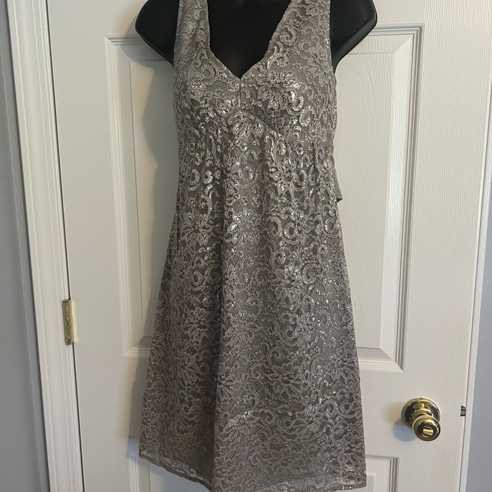 The limited silver dress - Size 0